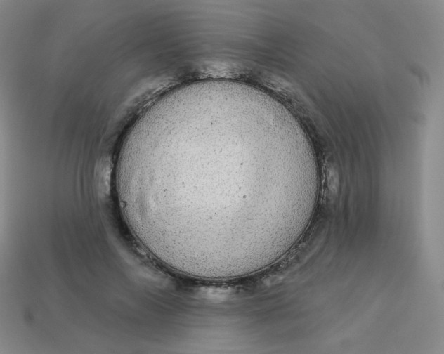 X0000113550694200910091304