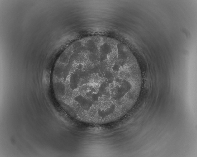 X0000113550695200910091304