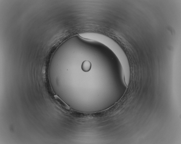 X0000113550696200910091304