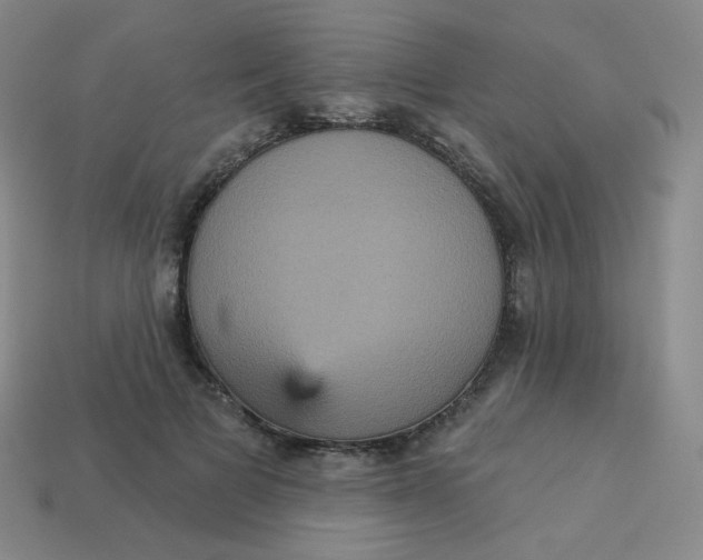 X0000113550697200910091304