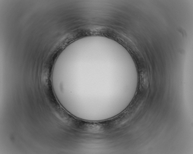 X0000113550698200910091304