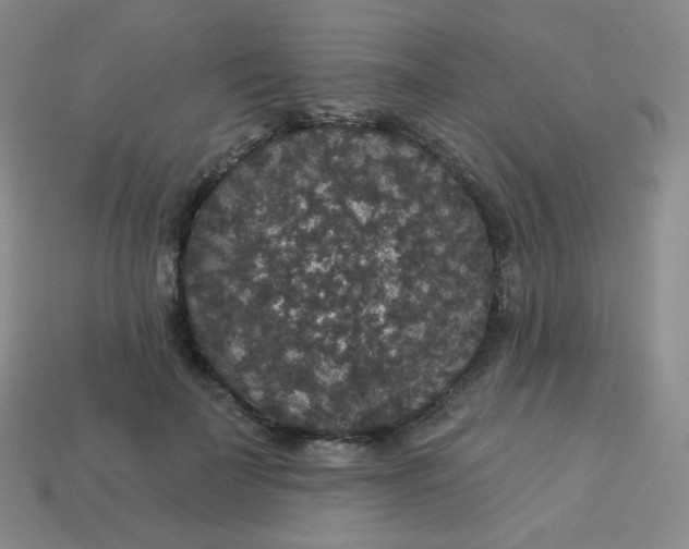 X0000113550699200910091304