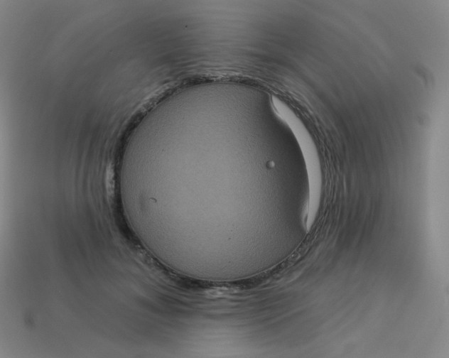 X0000113550700200910091304