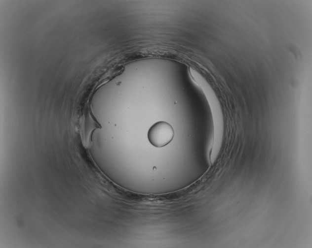 X0000113550701200910091304