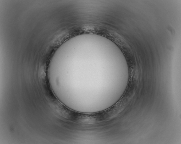 X0000113550702200910091304