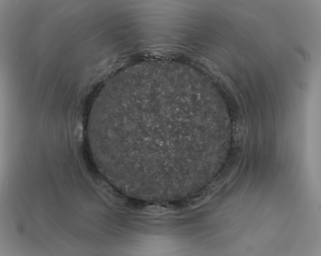 X0000113550703200910091304