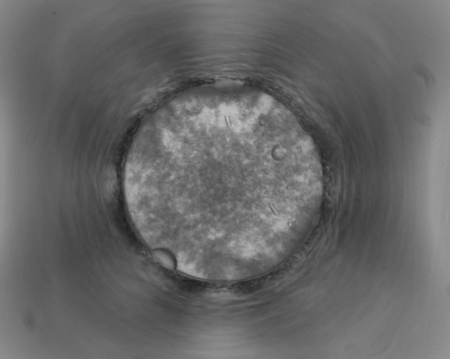 X0000113550704200910091304