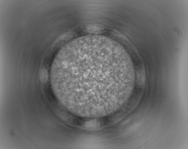 X0000113550705200910091304