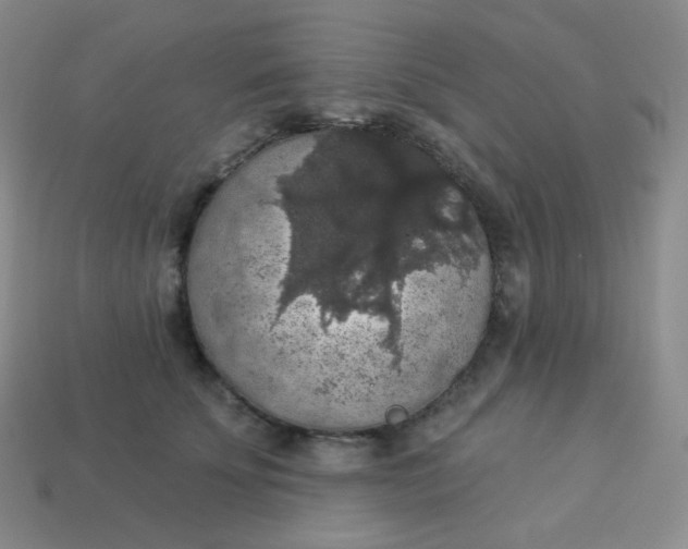 X0000113550707200910091304