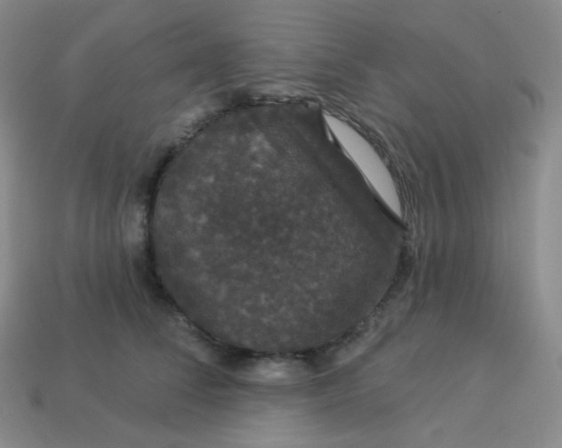 X0000113550708200910091304