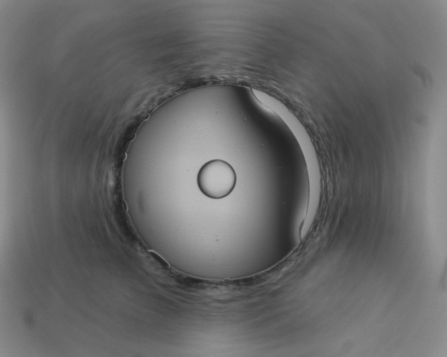 X0000113550709200910091304