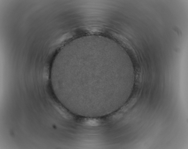 X0000113550710200910091304