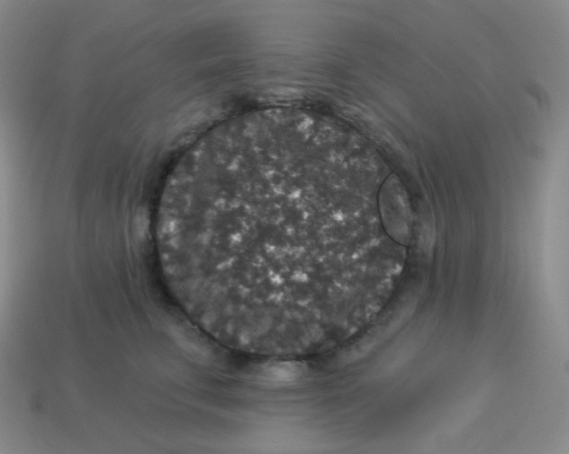 X0000113550711200910091304