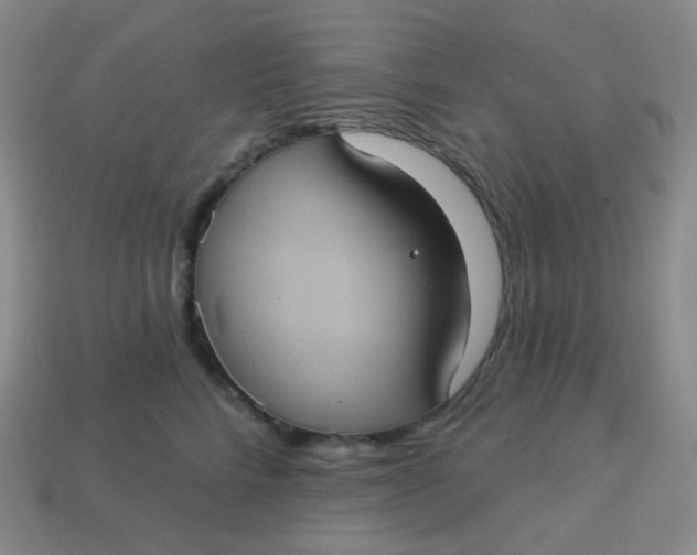 X0000113550712200910091304