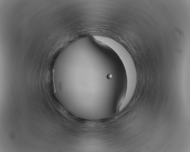 X0000113550713200910091304