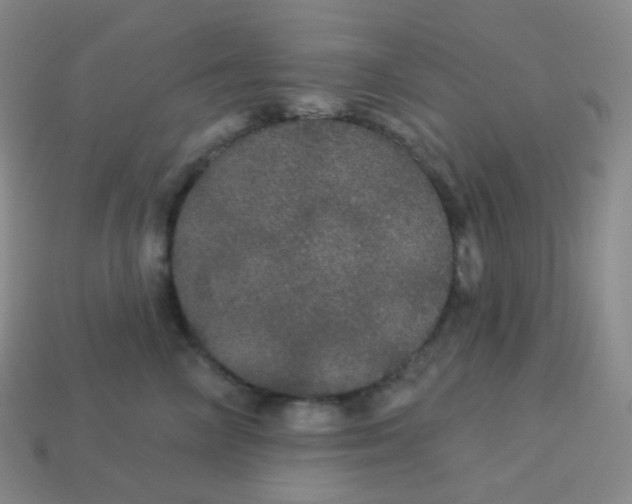 X0000113550714200910091304