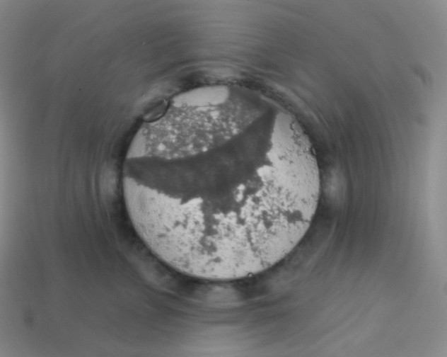 X0000113550715200910091304