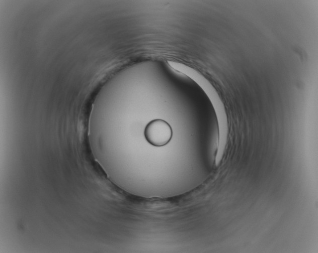 X0000113550716200910091304