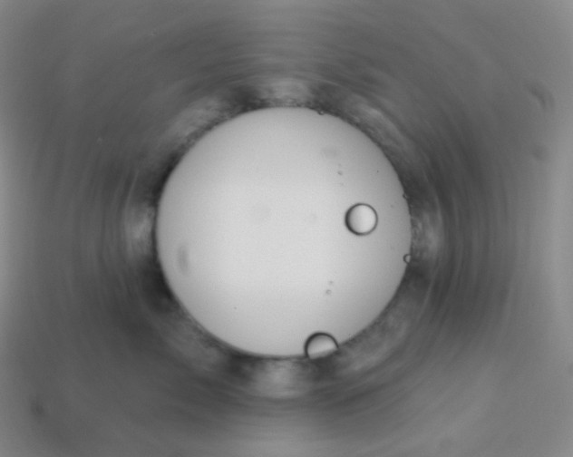 X0000113550717200910091304