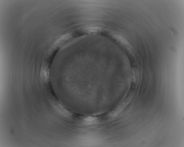 X0000113550718200910091304