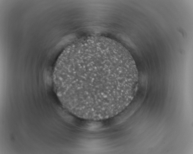 X0000113550719200910091304