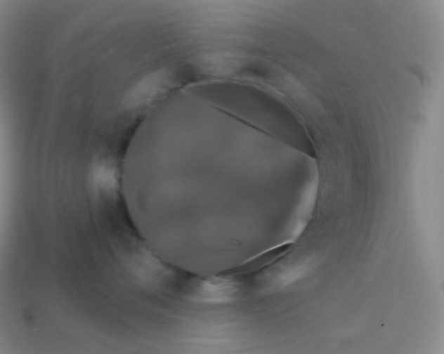 X0000113550720200910091304