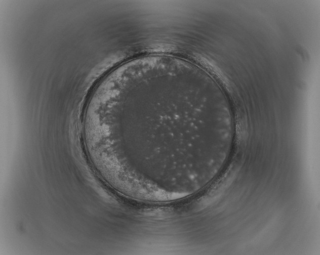 X0000113550721200910091303