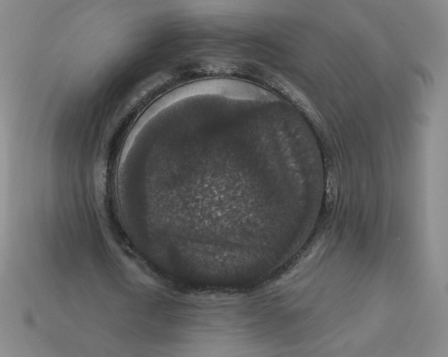 X0000113550722200910091303