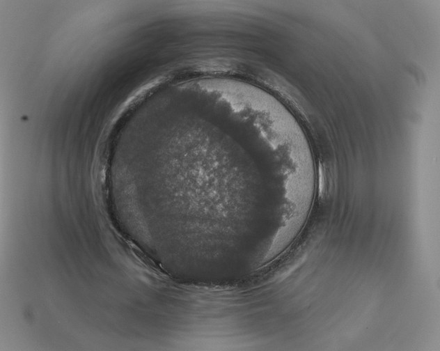 X0000113550723200910091303