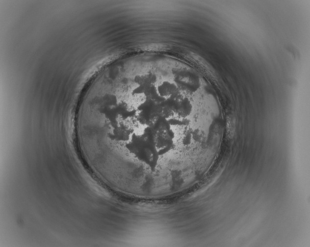 X0000113550725200910091303