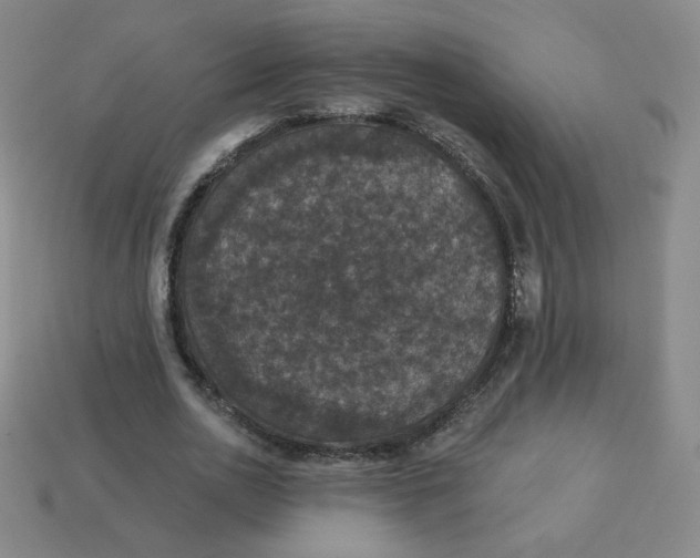 X0000113550726200910091303