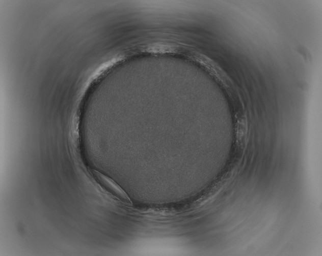 X0000113550727200910091303