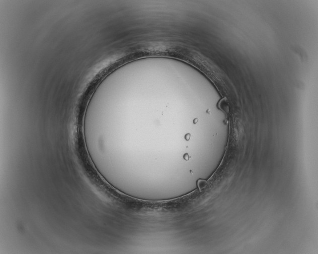 X0000113550728200910091303