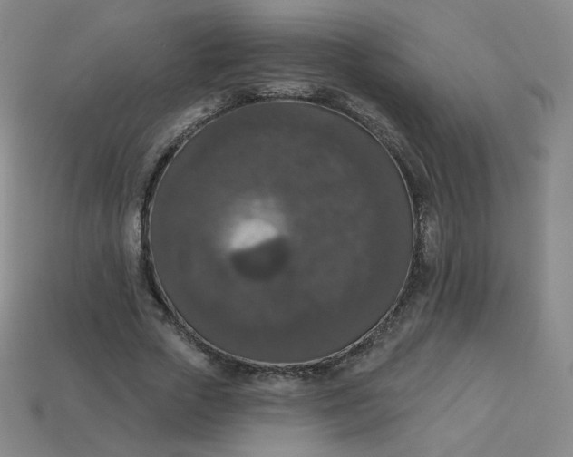 X0000113550729200910091303