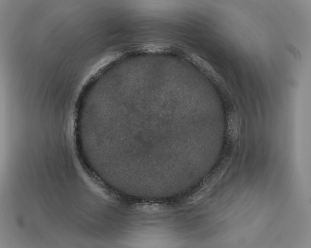 X0000113550730200910091303