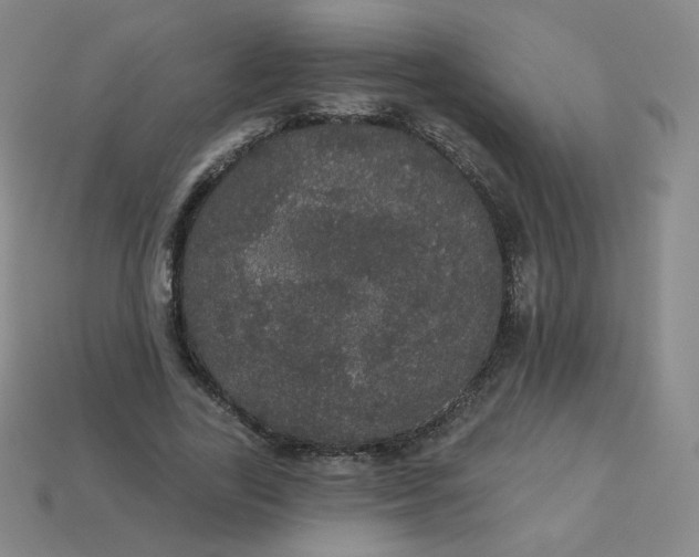 X0000113550731200910091303