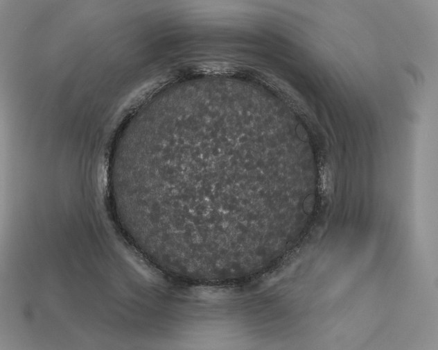 X0000113550733200910091303