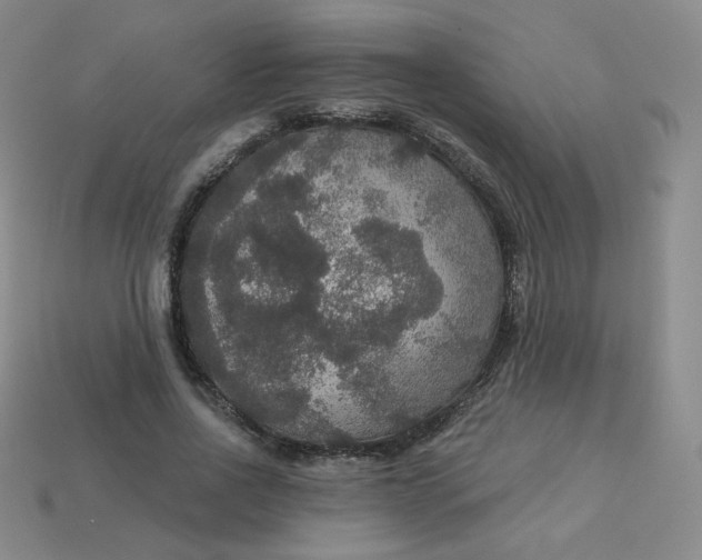 X0000113550734200910091303