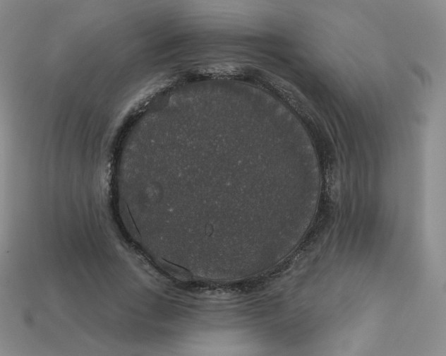 X0000113550735200910091303