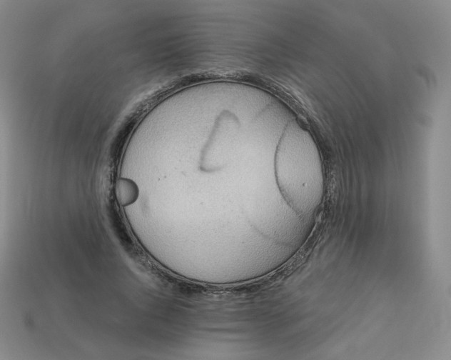 X0000113550736200910091303