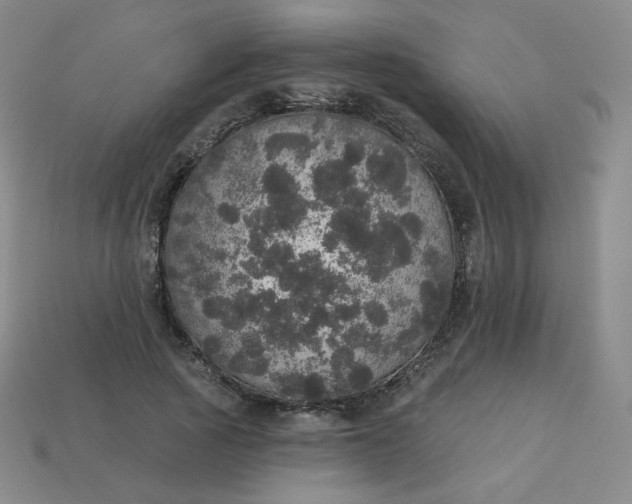 X0000113550737200910091303