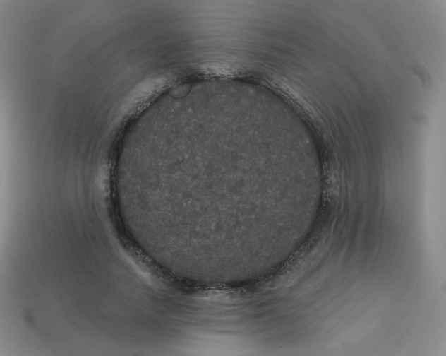 X0000113550738200910091303