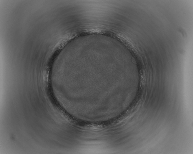 X0000113550739200910091303