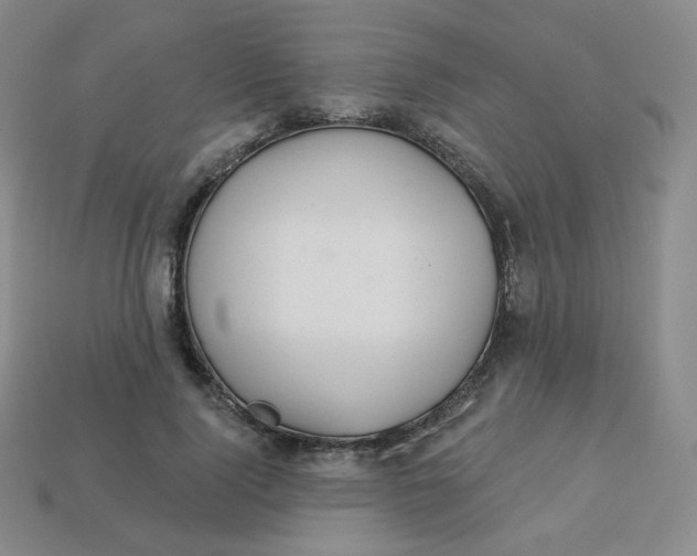 X0000113550740200910091303