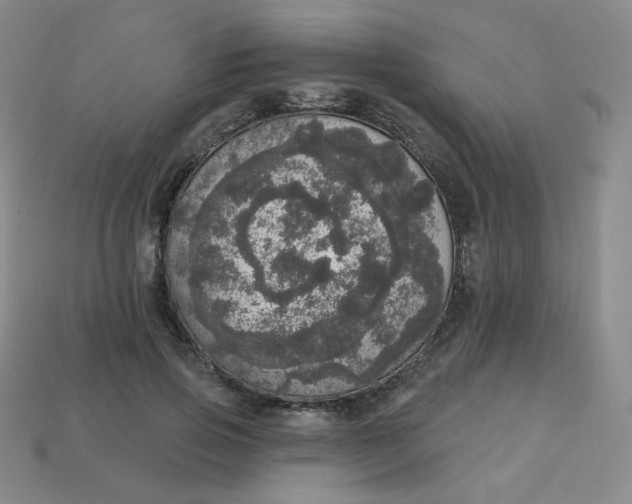 X0000113550741200910091303