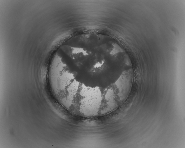 X0000113550742200910091303