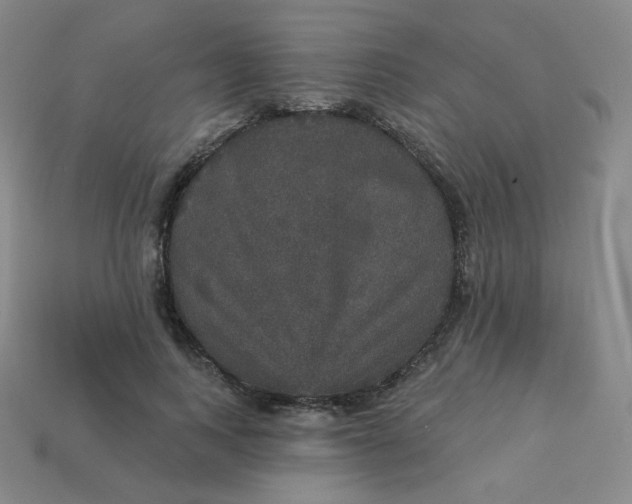 X0000113550743200910091303