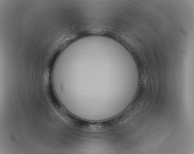 X0000113550744200910091303