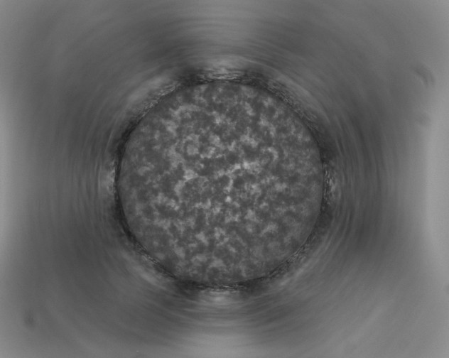 X0000113550745200910091303