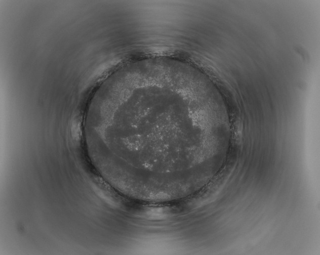 X0000113550746200910091303